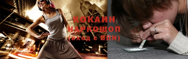 спайс Гусев