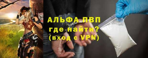 спайс Гусев