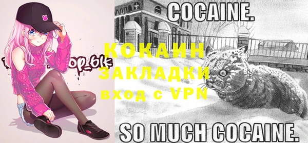 спайс Гусев