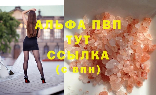 спайс Гусев