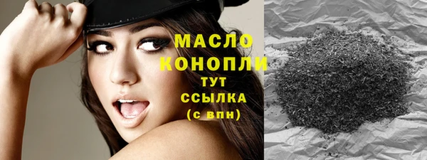 спайс Гусев
