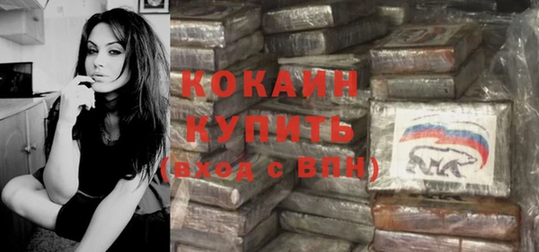 спайс Гусев